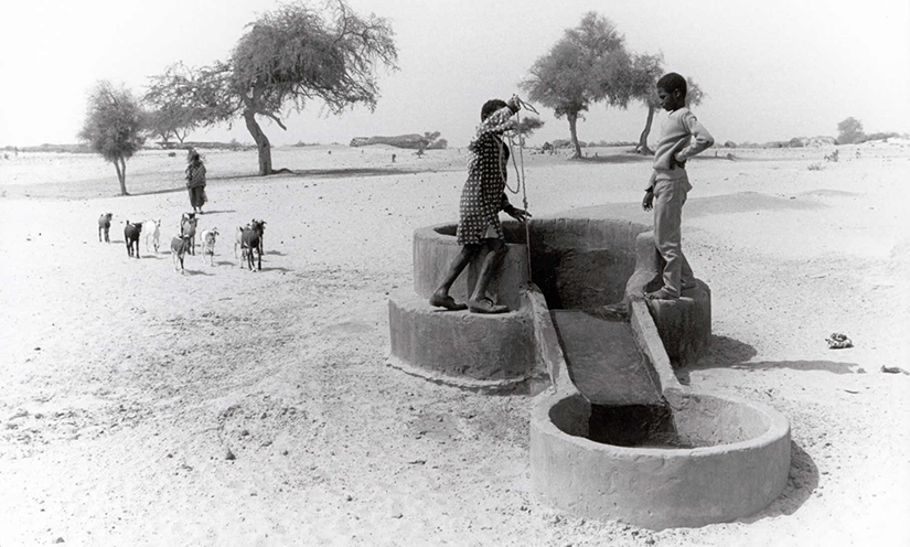 Kids pull water from a well